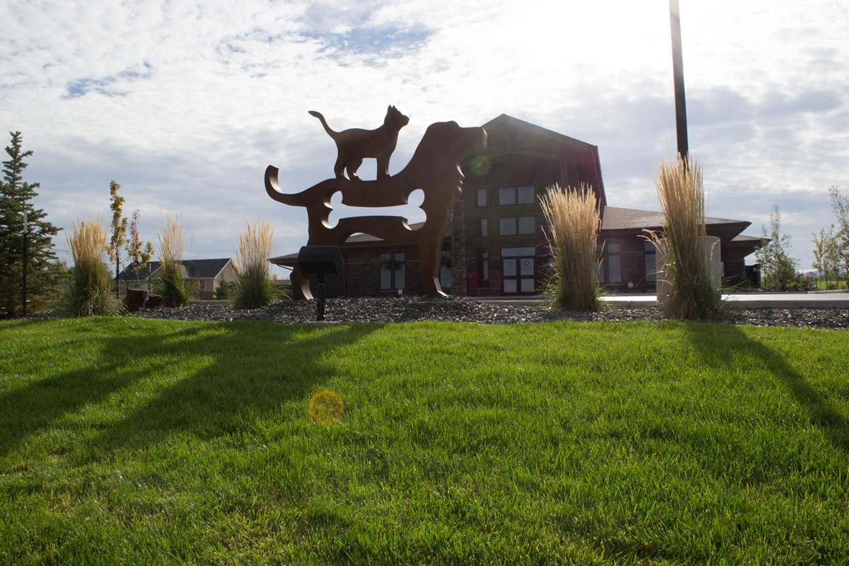 Dog & Cat Statue