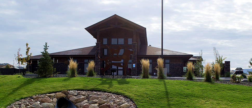 Rocky Mountain Animal Hospital, veterinary services in Casper, WY